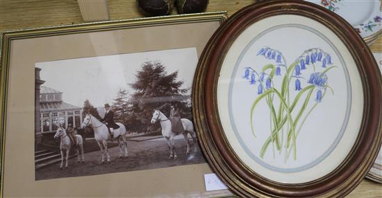 Two black and white equestrian subject photographs and a small watercolour of bluebells